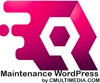 Maintenance Wordpress - Assistance